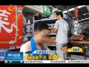 外卖小哥海洋最新爆料,外卖行业背后的真实故事